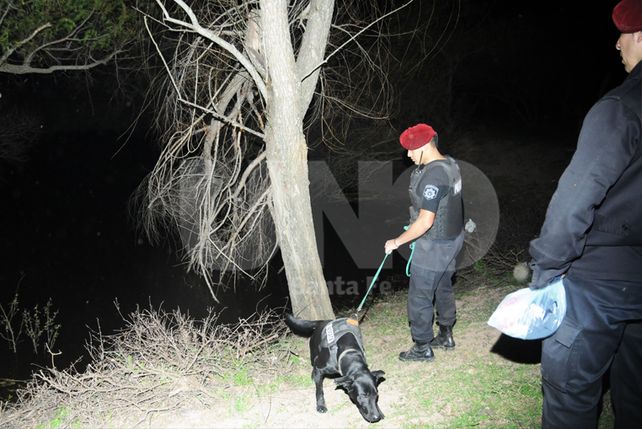 Perdonal de la división canes de la policía realizando la búsqueda.