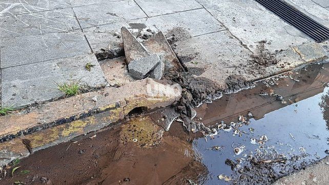 Barrio Candioti Sur. Vecinos en alerta por una pérdida de agua que lleva meses.&nbsp;