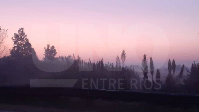 Paraná amaneció cubierta de neblina. En imágenes zona de calle Salvador Caputto