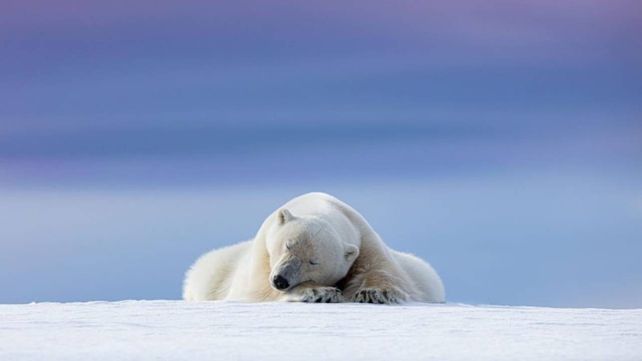 Las asombrosas fotos de la naturaleza premiadas en un concurso