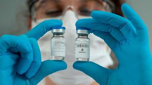 Comienza la distribución del suero equino hiperinmune para el tratamiento del coronavirus