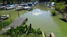 Así luce el río Paraná en el Delta (Gentileza: Impacto Local). Así luce el río Paraná en el Delta (Gentileza: Impacto Local).