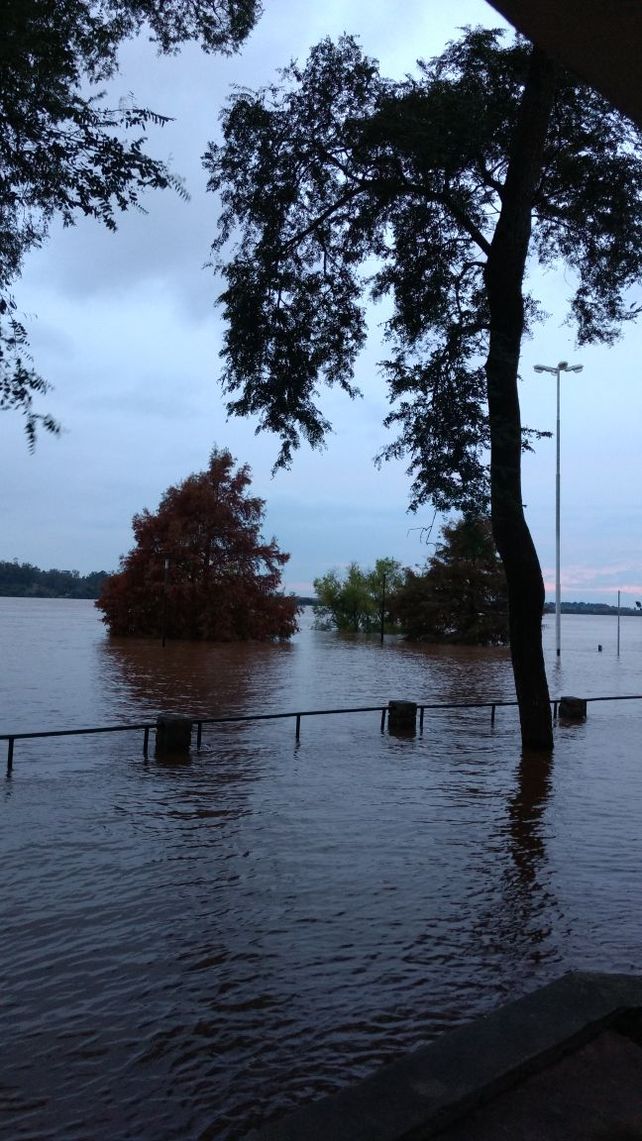 Foto gentileza&nbsp;Silvia Nalivaiko.&nbsp;