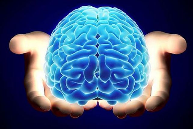 Las 6 formas de ser más inteligente científicamente comprobadas