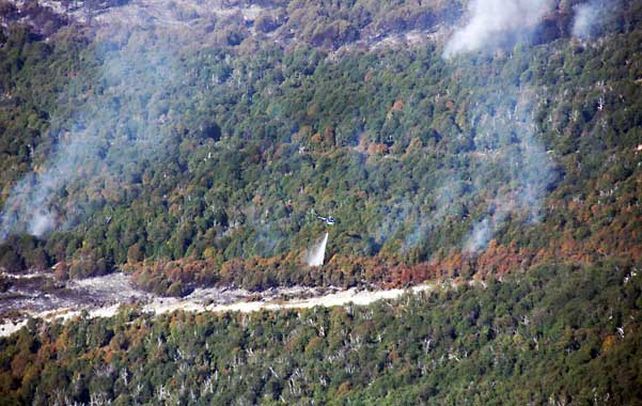 Los incendios en la cordillera del noroeste de Chubut devastaron 34 mil hectáreas de bosque nativo.