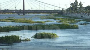 El río Paraná sigue en bajante y 40 familias permanecen evacuadas