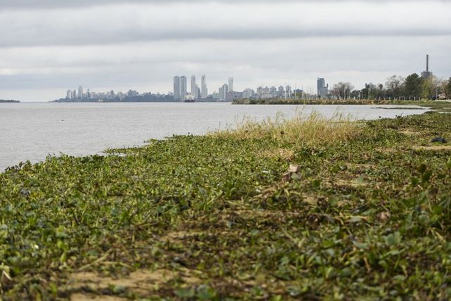 Como ocurrió a mediados de abril