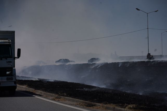Incendios de pastizales: los bomberos tuvieron más intervenciones que en enero del año pasado