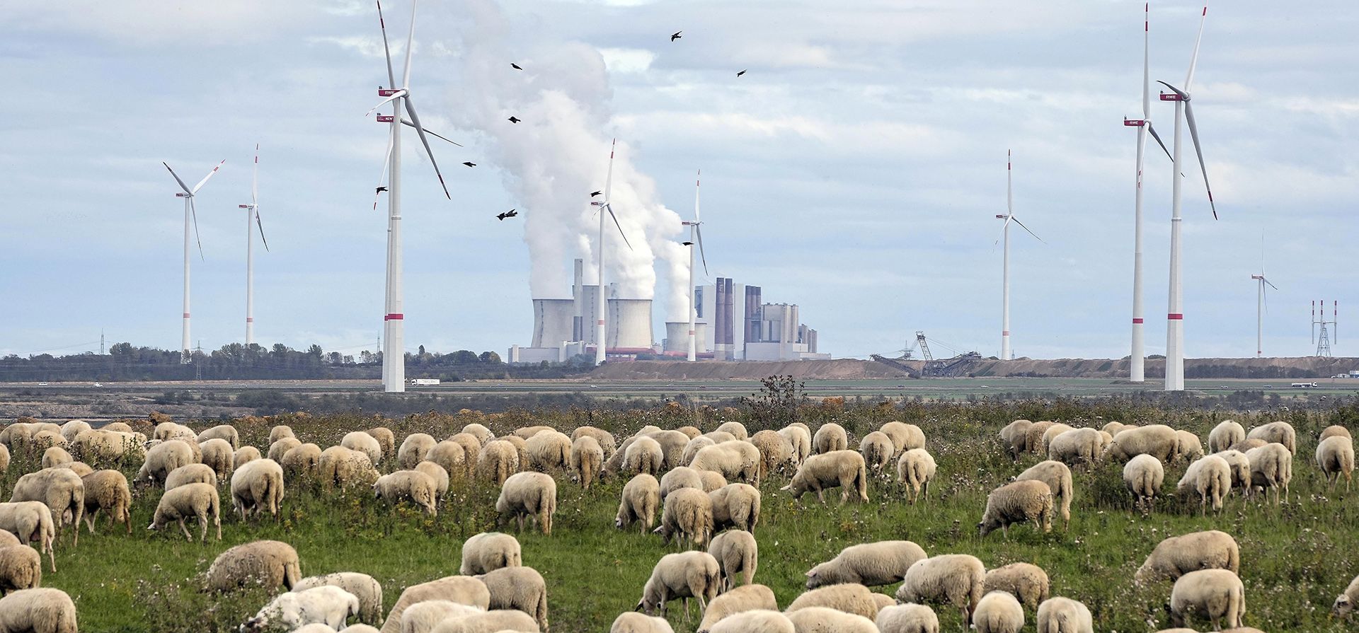 Un rebaño de ovejas pasta frente a una central eléctrica a carbón a cielo abierto Garzweiler cerca de Luetzerath, Alemania occidental. La guerra ha sido una catástrofe para Ucrania que generó una crisis energética para el mundo. (Foto AP/Martin Meissner, archivo)