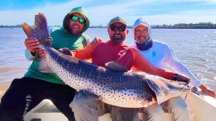 En Concordia, pescadores entrerrianos capturaron un surubí de 60 kilos.&nbsp;