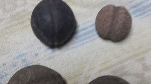 Las boleadoras acreditan más de 7.000 años de vida humana aquí