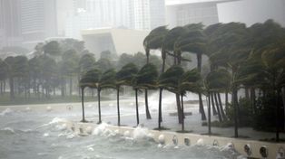 El huracán Irma azota los Cayos de Florida y dejó un millón de hogares sin luz
