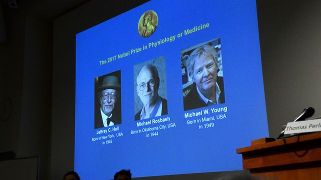 Tres científicos ganaron el Nobel de Medicina por descubrimientos sobre el reloj biológico