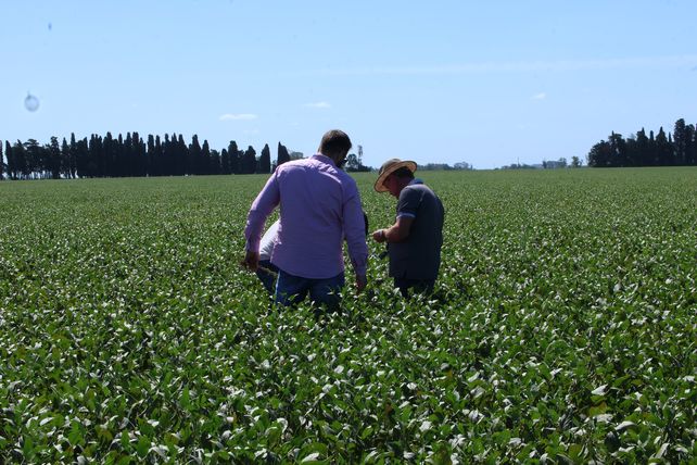 Promoviendo una agricultura productiva, sustentable y resiliente