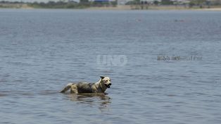 La máxima superará los 40ºC y rige un alerta naranja por la ola de calor