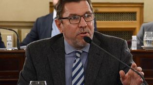 Proyecto de ley del senador Rodrigo Borla para la creación de gabinetes interdisciplinarios en el ámbito educativo