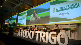 Vuelve la cumbre nacional del trigo