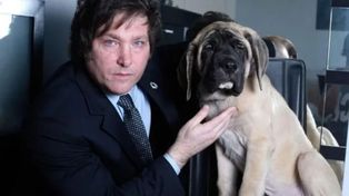 Conan, el perro clonado de Javier Milei