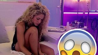 ¿Shakira se sacó una foto con un chiche sexual?