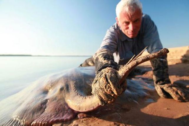 El monstruo argento del Paraná