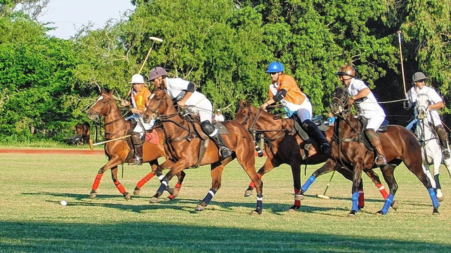 El Club Hípico General Belgrano será escenario de la tradicional Copa Teniente Coronel Néstor López de polo en su 45° edición.