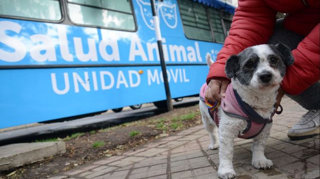 El programa barrial de castraciones de perros y gatos estará presente en octubre en los distritos sur