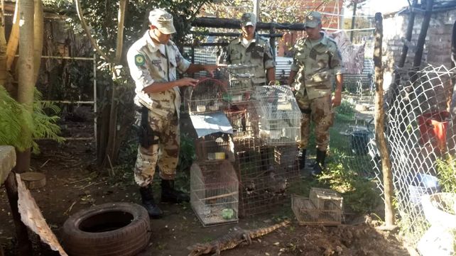 Enseñaron a los chicos sobre la conservación de la fauna silvestre