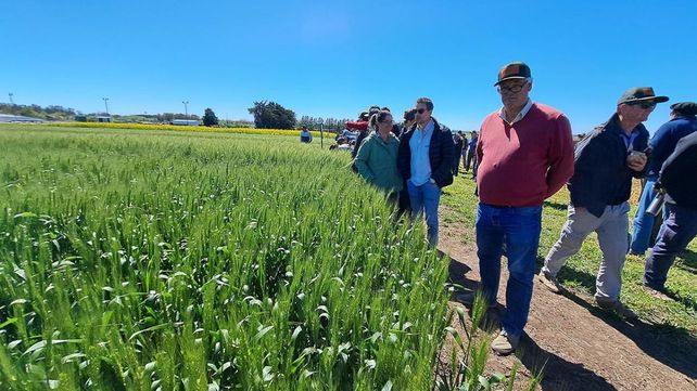 Exposición. Expocereales será los días 30 y 31 de octubre.