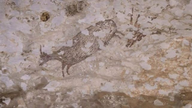 indonesia. La imagen hallada en la pared de una cueva.