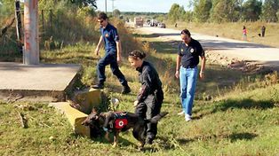 Matan a pu&ntilde;aladas a una ni&ntilde;a en Ramallo y buscan a su t&iacute;o abuelo