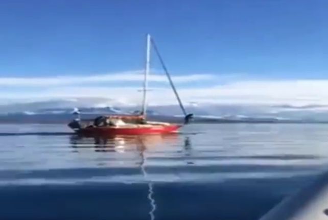 Video: un velero embistió a propósito a una ballena en el Canal de Beagle