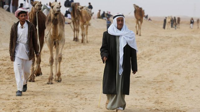 Carreras de camellos en el desierto de Egipto
