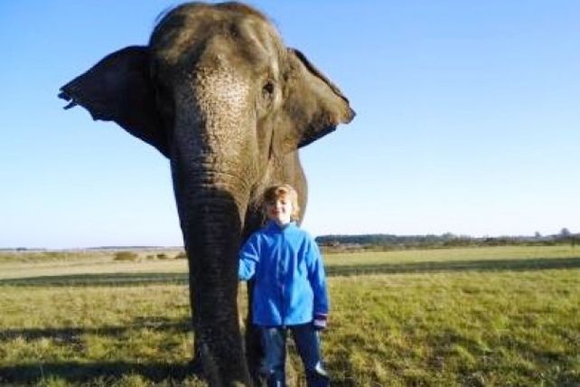 Provincia y municipio de Concordia investigan si hay maltrato animal en el parque Arca de Enrimir