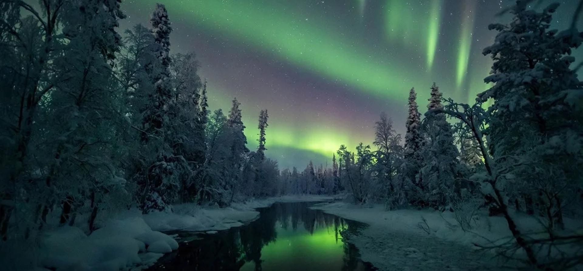 La aurora boreal se ve en el cielo sobre Muonio en Laponia, Finlandia, el 18 de enero de 2021. Foto: Reuters