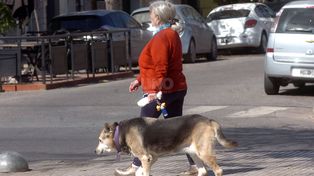 Temperaturas agradables para la ciudad