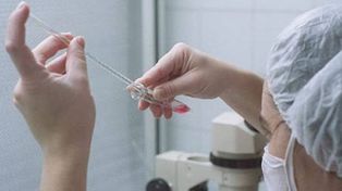 Más de cincuenta mujeres reciben tratamiento de fertilización en hospitales públicos de Santa Fe