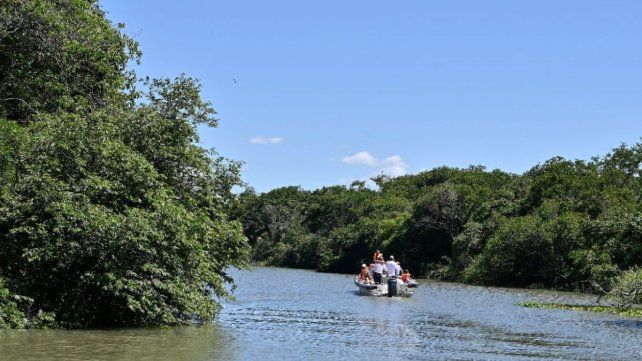 Banco de Bosques