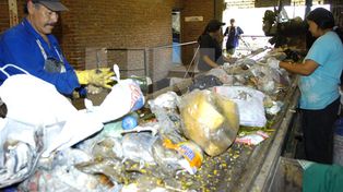 Lluvia+no separación: mal combo  para los que viven del reciclaje