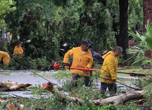Unas 30 cuadrillas municipales trabajan en toda la ciudad