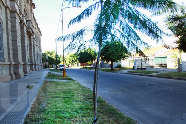 Santa Fe tiene 6.470 árboles más