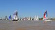 Náutica: el río Paraná se volvió a vestir de fiesta con la regata Rosario-Arroyo Seco