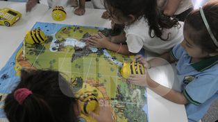 Las abejas robot invadieron el aula para motivar y sumar aprendizajes