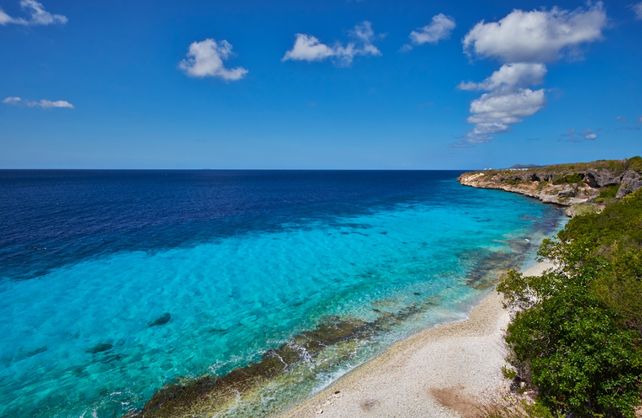 Los colores turquesas del agua son una postal en Bonaire.&nbsp;