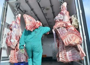 En un singular robo se llevan carne como para fabricar 160 mil hamburguesas