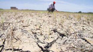 Las asociaciones rurales y la sequía: Hay que programar acciones para 18 o 24 meses
