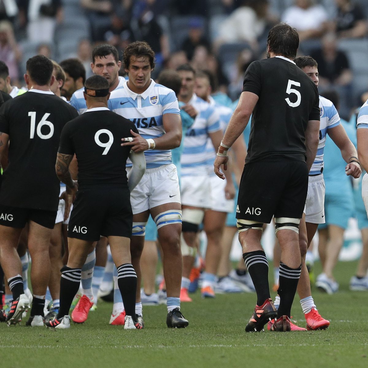Histórico: Los Pumas le ganaron por primera vez a los poderosos All Blacks