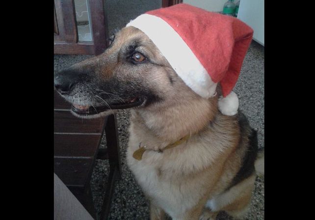Facebook Maru Maldonado.