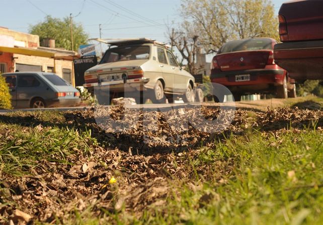 El barrio El Tránsito. Juan M. Baialardo.