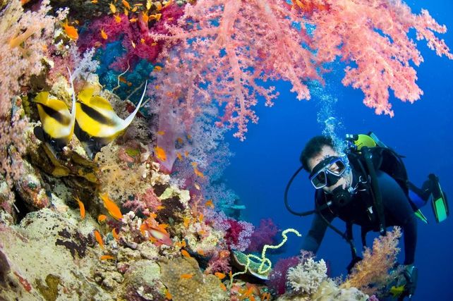 Islas Turcas y Caicos: el paraíso de los famosos
