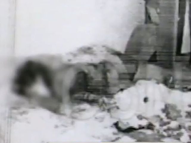 Difundieron las fotos del asesinato de las cuatro mujeres en La Plata